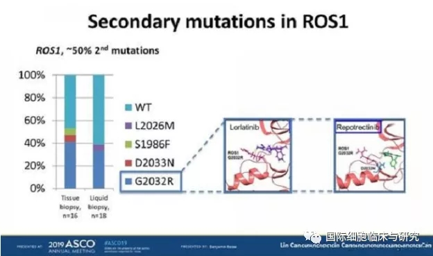 ROS1靶向药耐药的原因