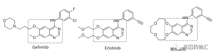 第一代EGFR抑制剂分子式
