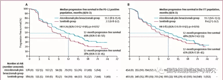 T药+贝伐单抗治疗肾癌数据
