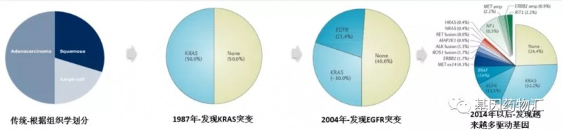 肺癌基因突变发现年限