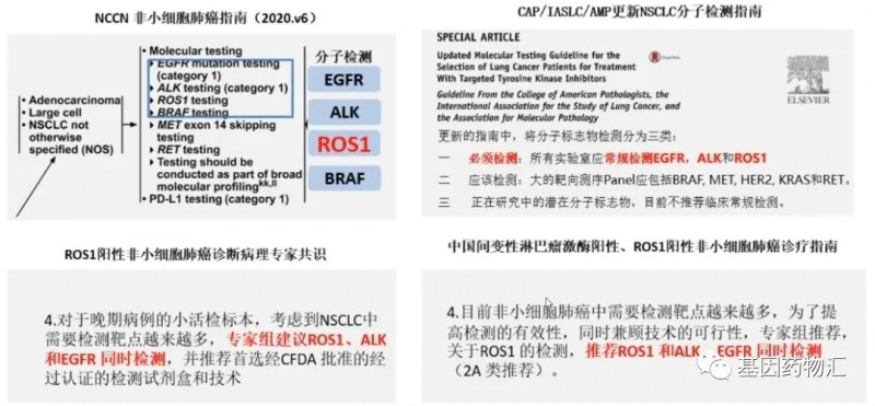 非小细胞肺癌指南