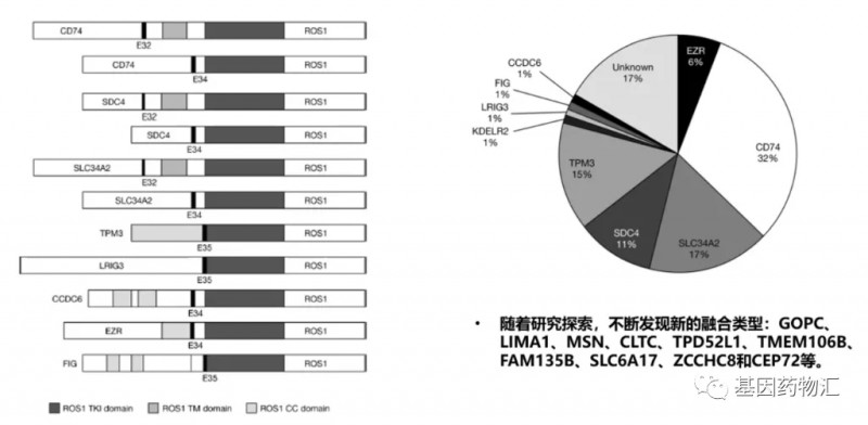 不段被发现的基因突变类型