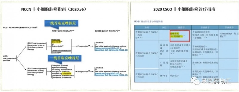 2020年中国美国非小细胞肺癌治疗指南