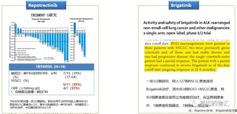 罗切替尼和布加替尼治疗效果对比