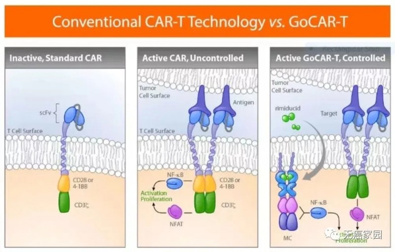 GoCAR-T技术让CAR-T细胞只有在小分子药物存在时才会被激活