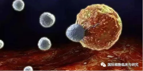 CAR-T细胞