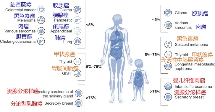 各类癌症出现NTRK融合的频率