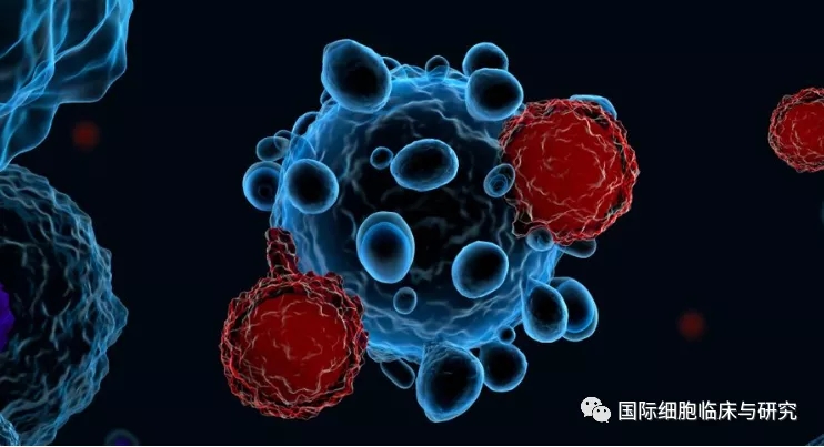 CAR-T细胞