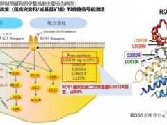 克唑替尼耐药后怎么办,克唑替尼耐药后吃什么药,ROS1阳性非小细胞肺癌新药AB-106(Taletrectinib、DS-6051b)临床试验招募中