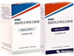 O药(Opdivo)冲击胃癌一线治疗方案和食管癌一线治疗方案,胃癌免疫治疗药物和食管癌免疫治疗药物最新研究汇总