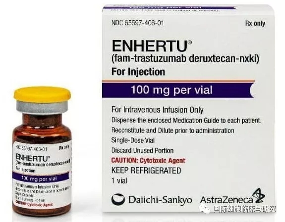 Enhertu