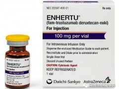 胃癌新药,首个HER2抗体偶联药物Enhertu(DS-8201、Famtrastuzumab Deruxtecan)上市