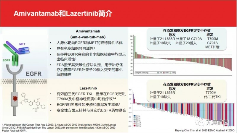 Aamivantamab和lazertinib简介