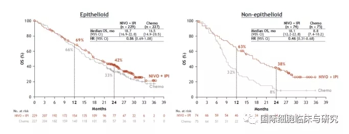 纳武单抗联合依匹木单抗治疗上皮型间皮瘤和非上皮型间皮瘤治疗效果对比