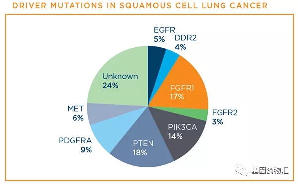 肺癌不同基因突变的概率