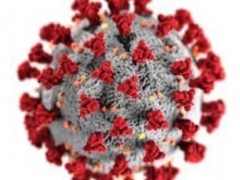 癌症肿瘤患者感染新冠病毒后的新疗法新技术-来氟米特