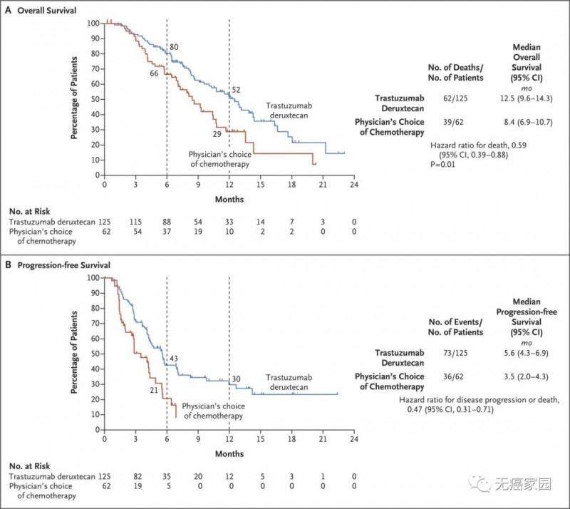 DS-8201治疗胃癌总生存期和无进展生存期比较