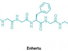 胃癌新药,抗体偶联(ADC)药物Enhertu(DS-8201、Deruxtecan)获FDA优先审查资格