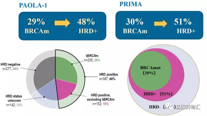 BRCA和HRD