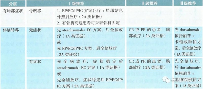 广泛期小细胞肺癌初始（一线）治疗方案