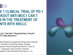 非小细胞肺癌免疫联合疗法,NK细胞免疫疗法联合PD-1/L-1有效抑制肿瘤生长