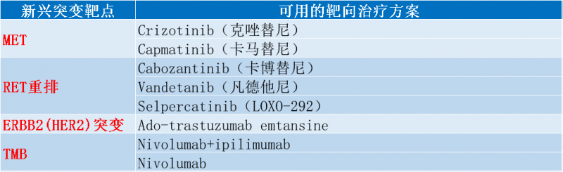 肺癌新兴基因突变靶点及治疗方案