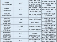 什么是单克隆抗体(Monoclonal Antibody、mAb),单克隆抗体药物有哪些,单克隆抗体药物临床试验