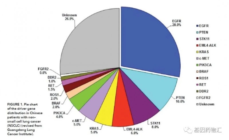 1%的患者，85%的希望！这类突变在肺癌中虽然罕见，但药物疗效绝对不可小觑！