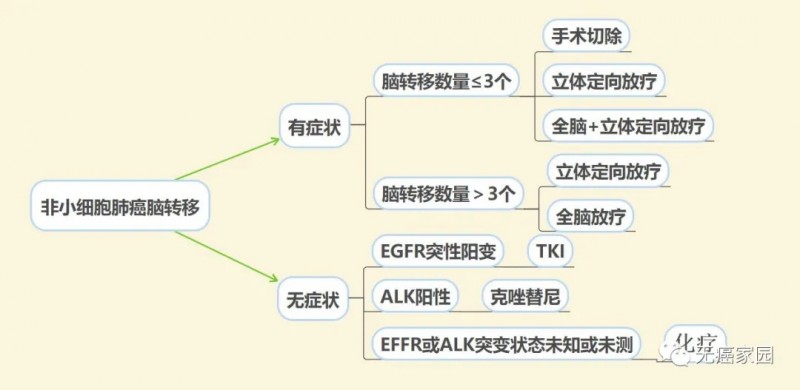 非小细胞肺癌脑转移治疗原则