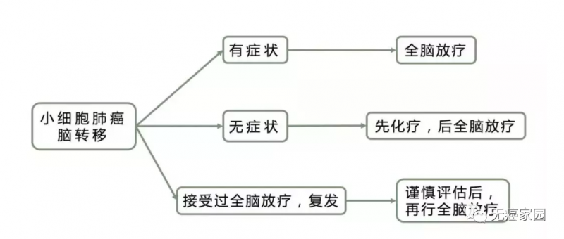 小细胞肺癌脑转移治疗原则