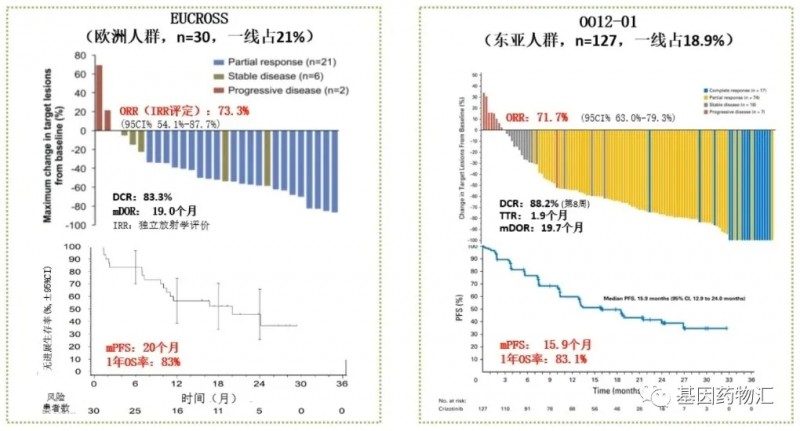 克唑替尼欧洲人群和亚洲人群治疗数据