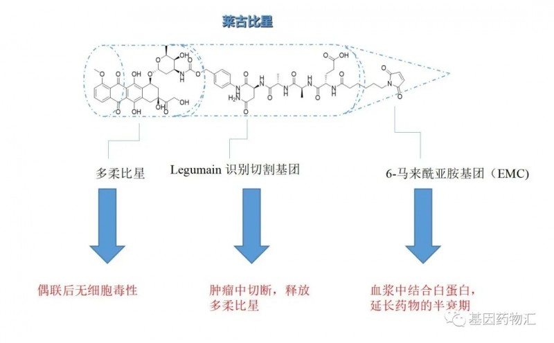 基因检测毫无所获、靶向治疗无药可用？别慌，化疗药也有全新进展！