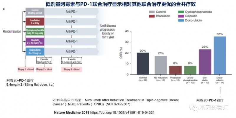 低剂量阿霉素与PD-1联合治疗效果