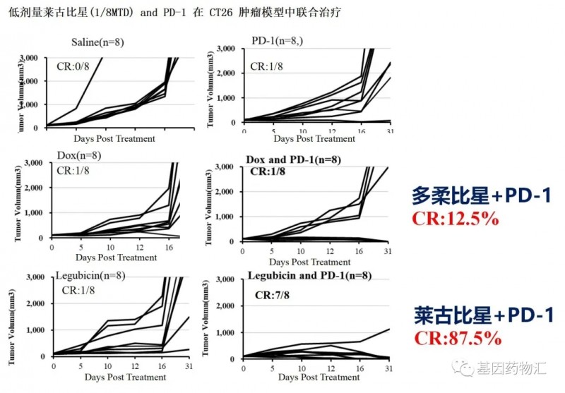 莱古比星和多柔比星治疗效果对比