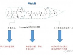 基因检测无突变怎么办,基因检测没有突变怎么办,别慌,化疗药也有全新进展