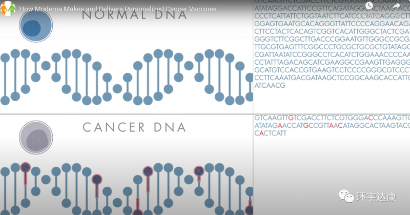 mRNA-4157疫苗