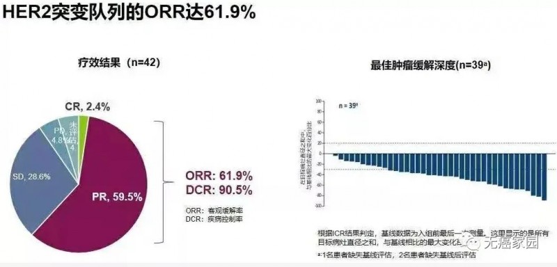 DS-8201治疗肺癌总体缓解率