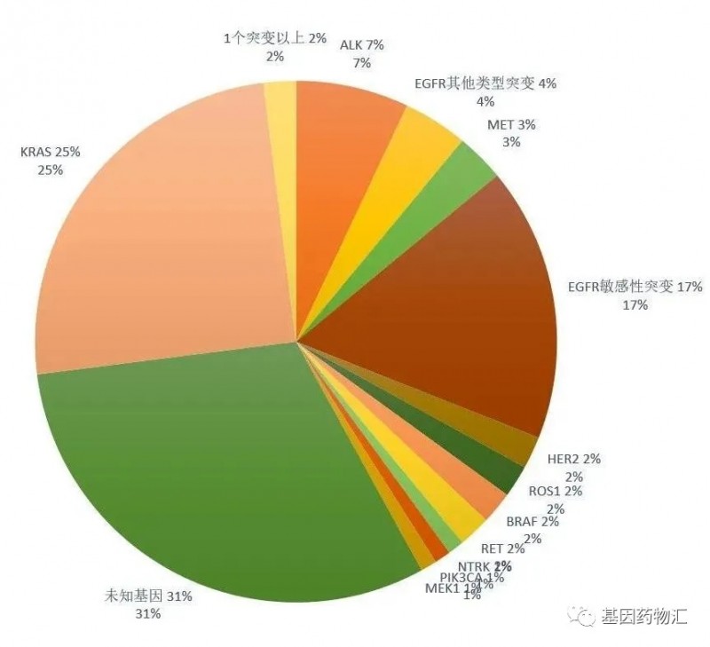 非小细胞肺癌各种基因突变的概率