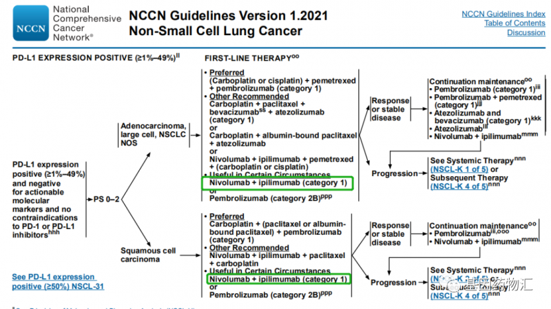 双免疫治疗写入非小细胞肺癌治疗指南