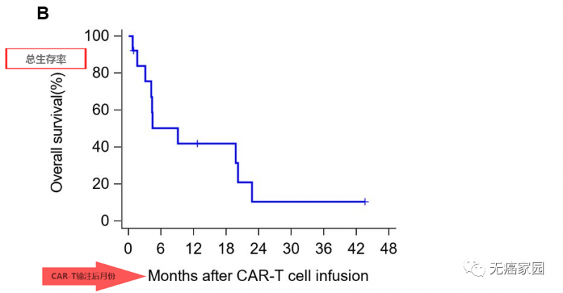 CAR-T免疫细胞疗法总生存率