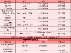 肺癌免疫疗法,肺癌免疫治疗(PD-1/PD-L1)药物有哪些