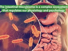 肠道益生菌的作用,肠道菌群的作用,肠道微生物菌群的作用,癌症免疫治疗的新力量出现