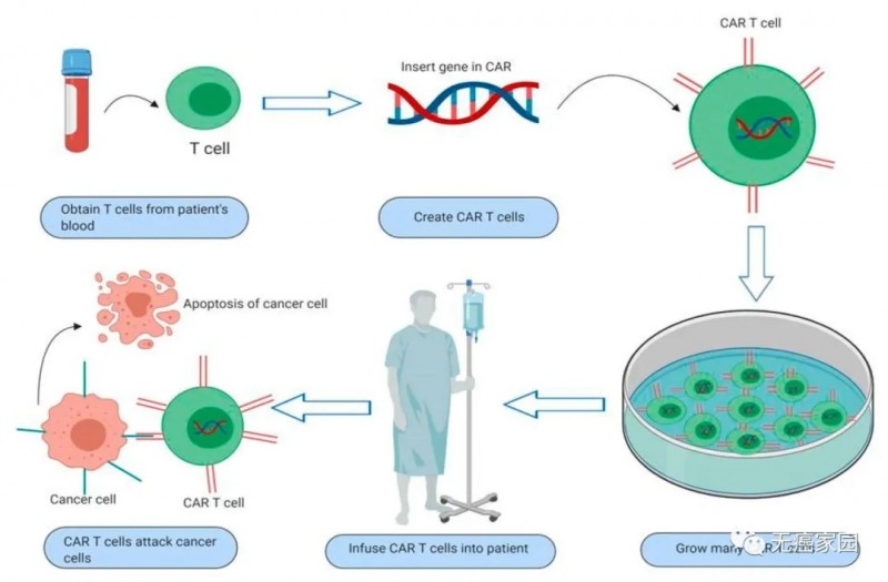 CAR-T细胞疗法治疗流程图