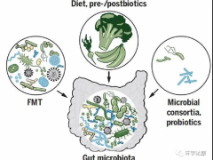 粪菌移植,如何调节肠道菌群,粪便菌群移植竟能逆转PD-1免疫治疗的效果