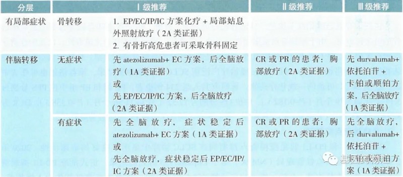 2020年CSCO指南推荐广泛期小细胞肺癌初始(一线)治疗方案