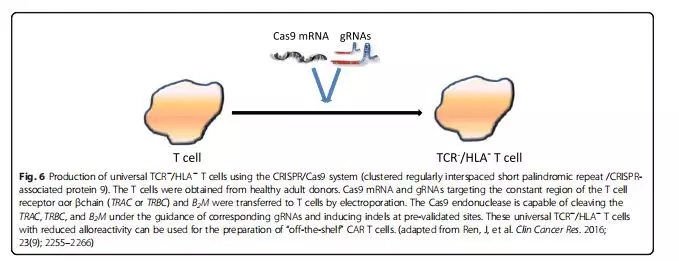 CRISPR/Cas9