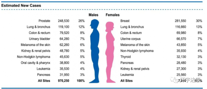 美国男性和女性癌症发病率