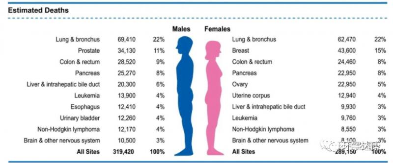 美国男性和女性癌症死亡率