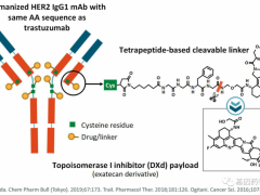 胃及胃食管交界处腺癌抗体偶联(ADC)药物Enhertu(DS-8201、Fam-Trastuzumab Deruxtecan-nxki)