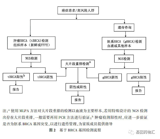 卵巢癌BRCA基因癌症患者和高风险人群检测